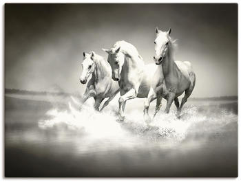 Art-Land Herde von weißen Pferden laufen durch Wasser 40x30cm