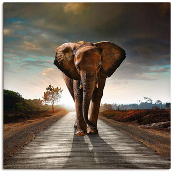 Art-Land Ein Elefant läuft auf einer Straße mit der Sonne im Rücken 70x70cm