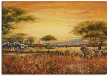 Art-Land Afrikanische Steppe mit Löwen 70x50cm