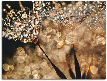 Art-Land Pusteblume Goldschimmer 60x45cm