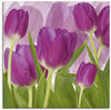 Artland Wandbild »Tulpenfeld lila«, Blumen, (1 St.), als Alubild, Outdoorbild,