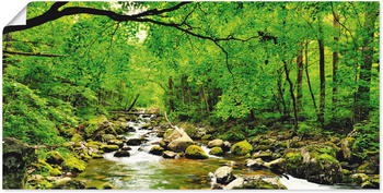 Art-Land Herbstwald, Fluss Smolny im russischen Schutzgebiet der Region Primorje 100x50cm