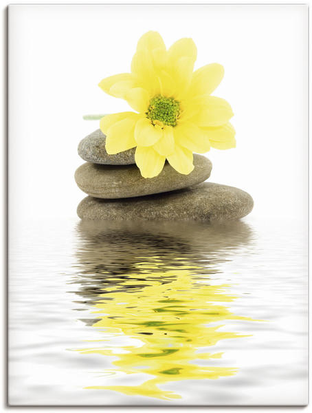 Art-Land Zen Spa Steine mit Blumen II 30x40cm