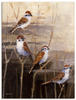 Artland Wandbild »Abend Heiligtum II«, Vögel, (1 St.), als Leinwandbild,...
