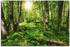 Art-Land Wald 90x60cm