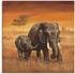 Art-Land Elefanten 100x100cm