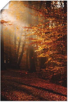 Art-Land Sonnenaufgang im Herbst 60x90cm