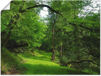 Art-Land Grüner Weg durch den Wald 80x60cm