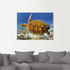 Art-Land Schildkröte 80x60cm