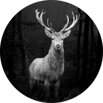 Pro-Art Grey Deer Head 30cm (923816)