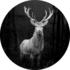 Pro-Art Grey Deer Head 30cm (923816)