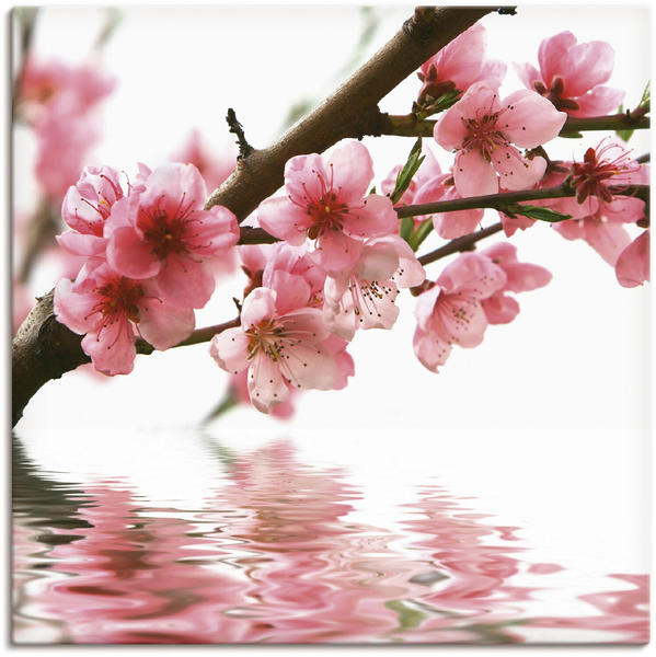 Art-Land Pfirsichblüten reflektieren im Wasser 30x30cm