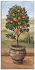 Artland Wandbild »Orangenbaum«, Bäume, (1 St.), als Leinwandbild,...