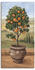 Art-Land Orangenbaum 30x60cm