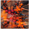 Artland Leinwandbild »Rote Beeren - Wildbeeren«, Pflanzen, (1 St.), auf...