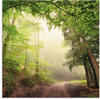 Artland Glasbild »Natürliche Torbögen durch Bäume«, Wald, (1 St.)