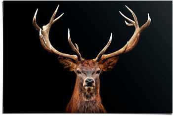 Reinders Deer Portrait 61x91,5cm (88687)