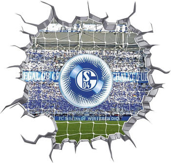 FC Schalke 04 LED-Wandsticker mit Ball 70x70cm (02983)