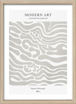 Pro-Art Papiers Decoupes II 55x75cm