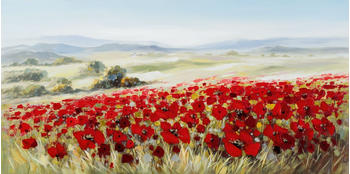 imageLAND Landschaft 140x70cm (1839348)