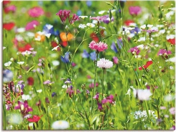 Art-Land Blumenwiese I 80x60 cm Art-Land Blumenwiese I 80x60 cm