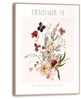 Reinders Bild mit Rahmen "Herbarium"