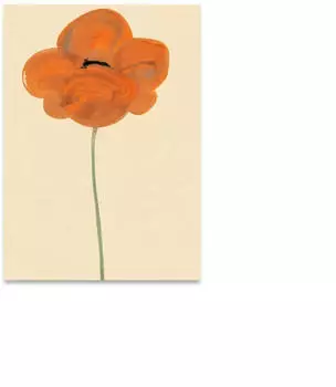 Paper Collective Orange Vallmo Poster 30 x 40cm