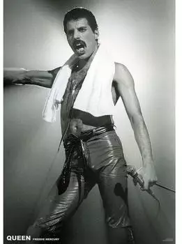 Wall-Art Poster Queen (Freddie Mercury) - Live On Stage, Plakat (59,4 x 84 cm)