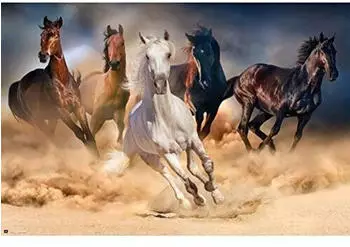 Wall-Art Poster Pferde Five horses 91,5x61 cm