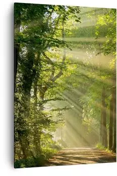 Arttor Leinwandbild Wald, Baum, Natur 70x100cm (PA70x100-3661)