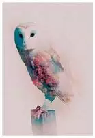 Komar Bild "Animals Forest Owl" Tiere 1 Stk. tlg. Wandbild zur Dekoration - ohne