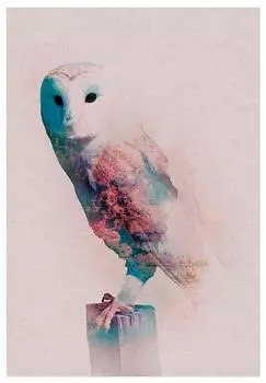 Komar Wandbild Animals Forest Owl 40 x 50 cm