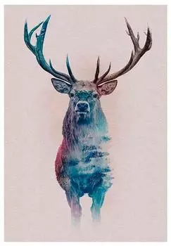 Komar Wandbild Animals Deer 50 x 70 cm