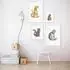 Komar Wandbild Cute Lizard 30 x 40 cm