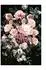 Komar Wandbild Charming Bouquet 30 x 40 cm