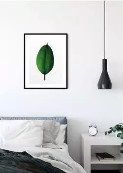 Komar Wandbild Ficus Leaf 50 x 70 cm