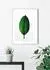 Komar Wandbild Ficus Leaf 50 x 70 cm