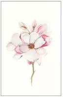 Komar Bild "Magnolia Blossom" Blumen 1 Stk. tlg. Wandbild zur Dekoration - ohne