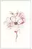 Komar Wandbild Magnolia Blossom 40 x 50 cm