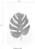 Komar Wandbild Monstera Leaf 50 x 70 cm