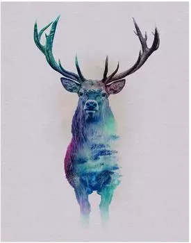 Komar Wandbild Animals Deer 40 x 50 cm