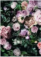 Komar Bild "Charming Wild" Blumen 1 Stk. tlg. Wandbild zur Dekoration - ohne...