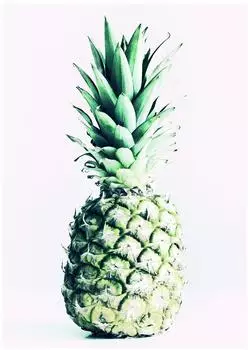 Komar Wandbild Pineapple 30 x 40 cm