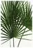 Komar Wandbild Palmtree Leaves 50 x 70 cm