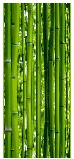 Livingwalls pop.up Panel Wellness Bambus grün (250 x 35 cm)