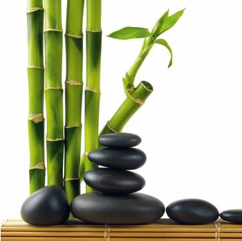 Eurographics DGDT4085 Deco Glass Lucky Bamboo (30 x 30 cm)