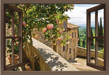 Art-Land banepetkovic: Fensterblick- Rosen auf einem Balkonn