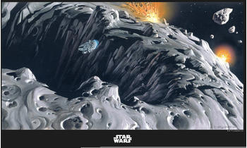 Komar Star Wars Classic RMQ Asteroid 40x30cm