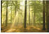 Reinders Sunbeam Forest 61x91,5cm (A109/18)