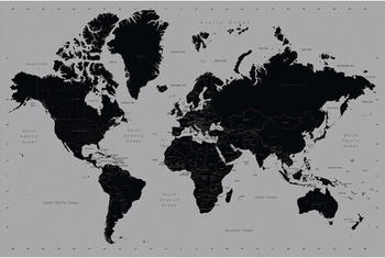 Reinders World Map blau/silber 61x91,5 cm